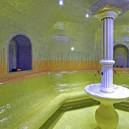 호텔 Grifid Vistamar